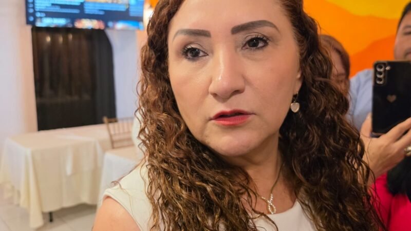 Busca Mirna Grimaldo candidatura a Monterrey