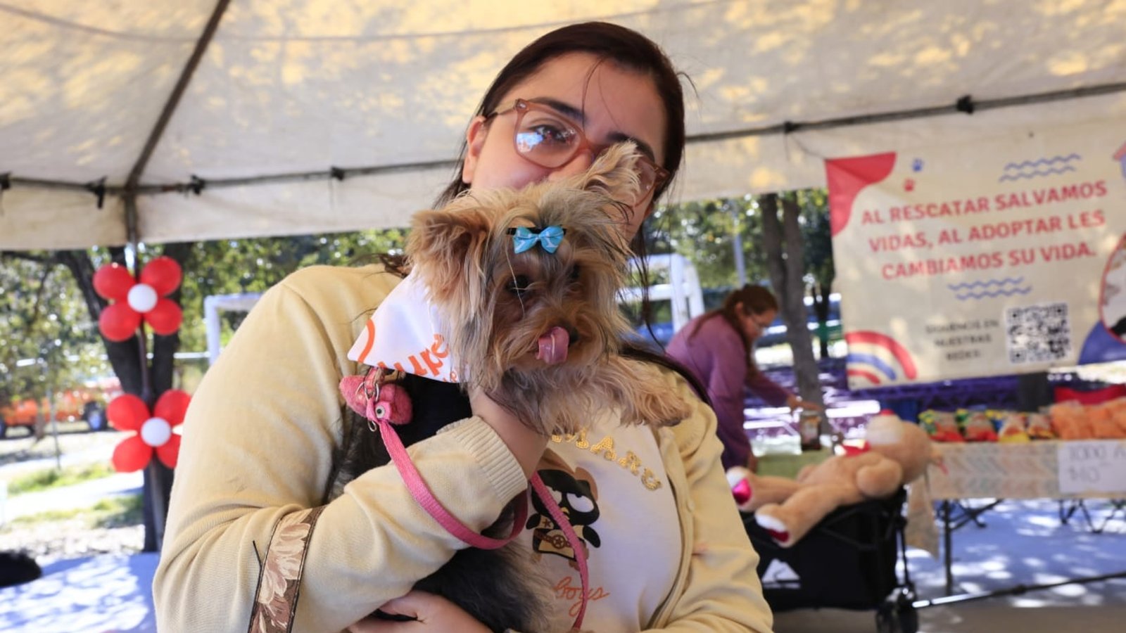 Alertan por golpes de calor en mascotas