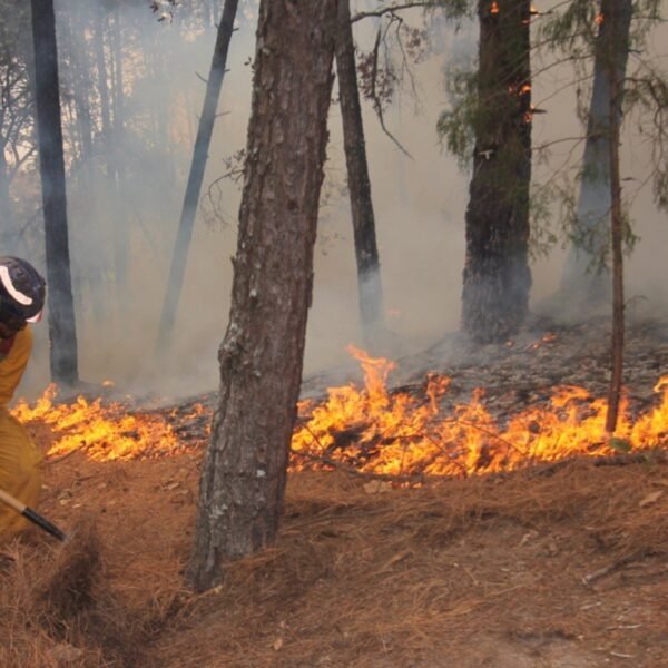 Alertan por riesgo de incendios ante calor extremo en Nuevo León