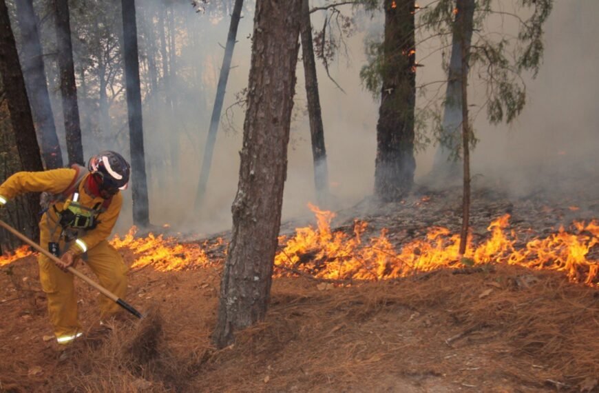 Alertan por riesgo de incendios ante calor extremo en Nuevo León