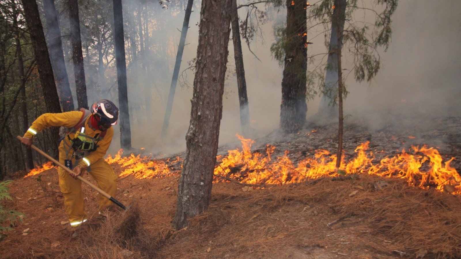 Alertan por riesgo de incendios ante calor extremo en Nuevo León