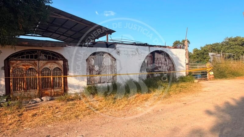 Aseguran vehículos y animales en quinta de Arnulfo Jr. en cateo por feminicidio