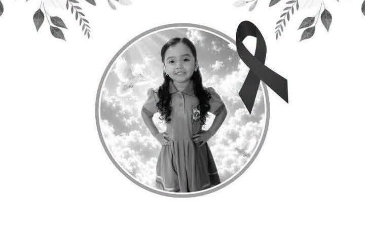 Despiden a niña fallecida en choque en Marín
