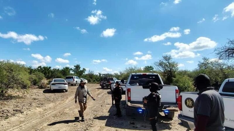 Hieren a menor por disparo accidental en Linares