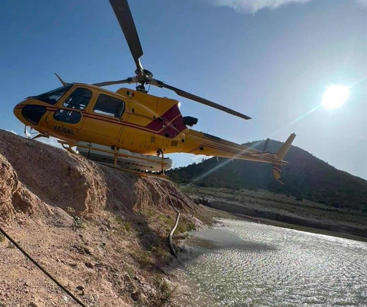 Controlan incendio forestal en Galeana