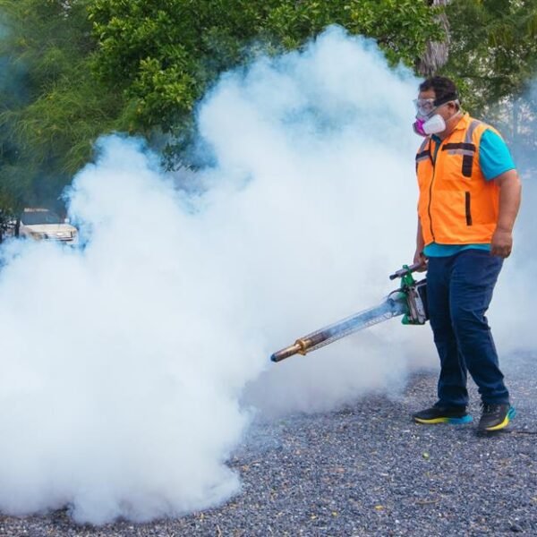 Refuerza Guadalupe fumigación contra dengue