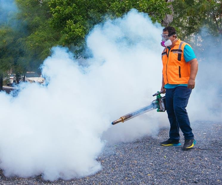 Refuerza Guadalupe fumigación contra dengue