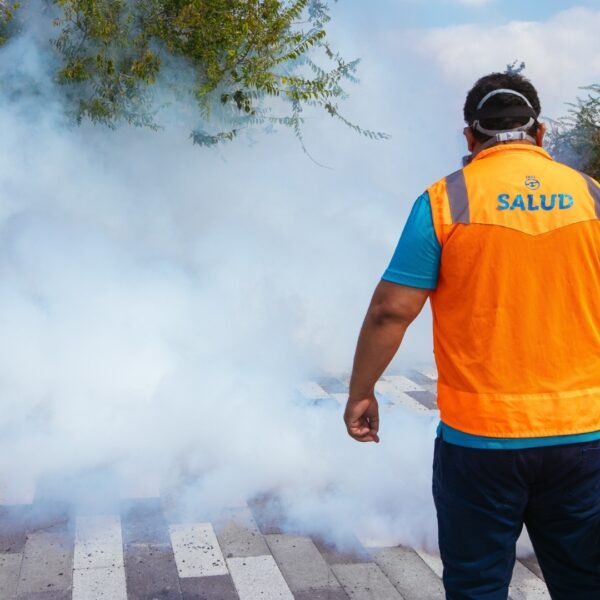 Fumigará Guadalupe seis colonias contra el dengue