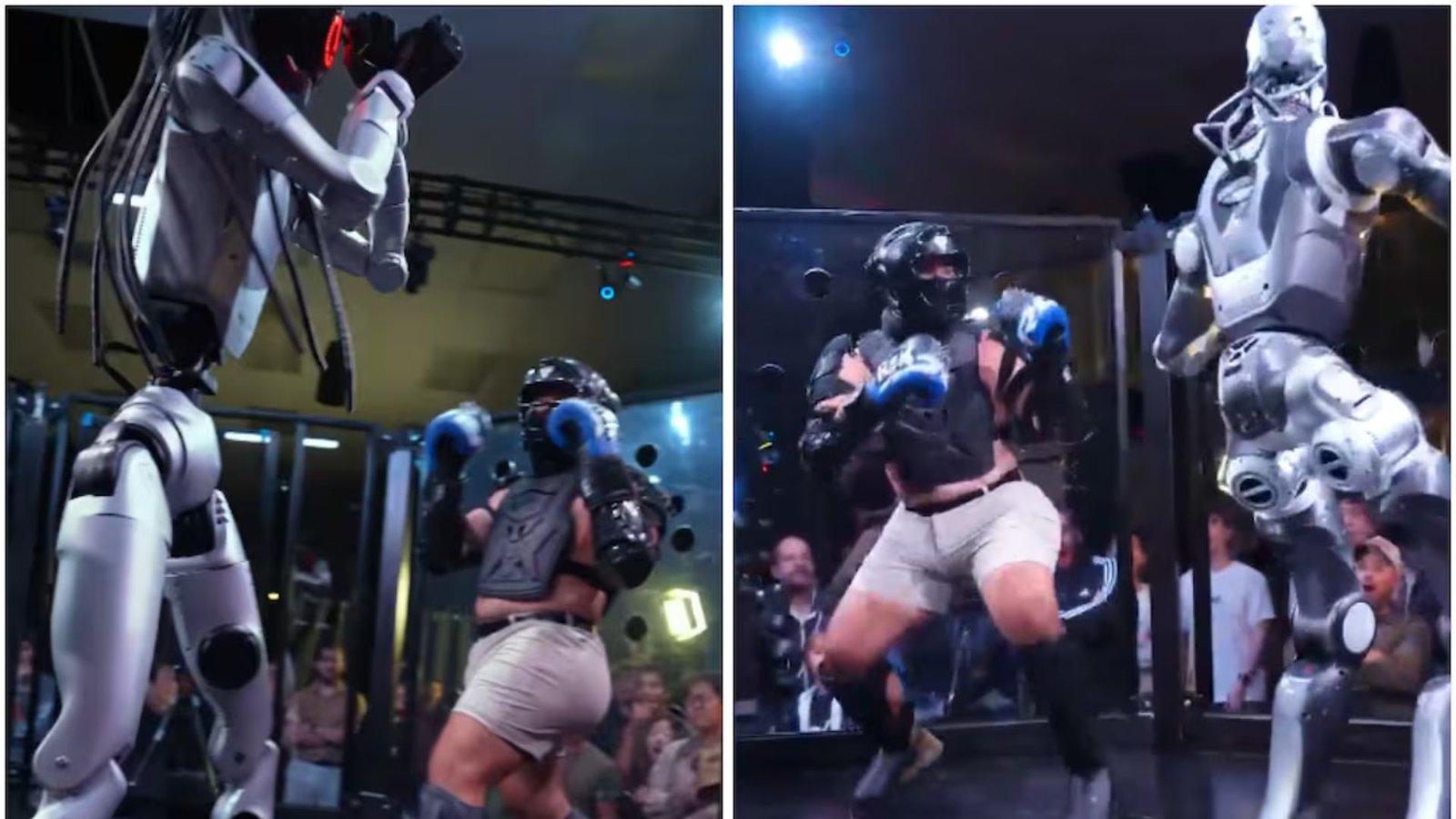Enfrenta influencer a robot humanoide en pelea de MMA