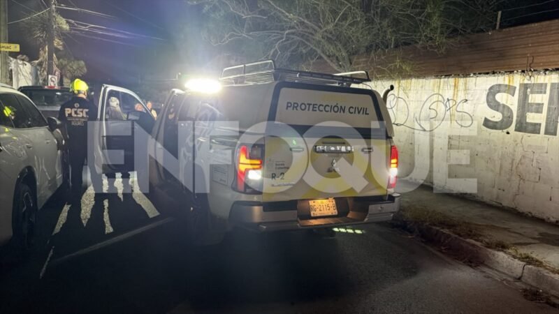 Salva Jaguares a menor de morir en una alberca en Santa Catarina