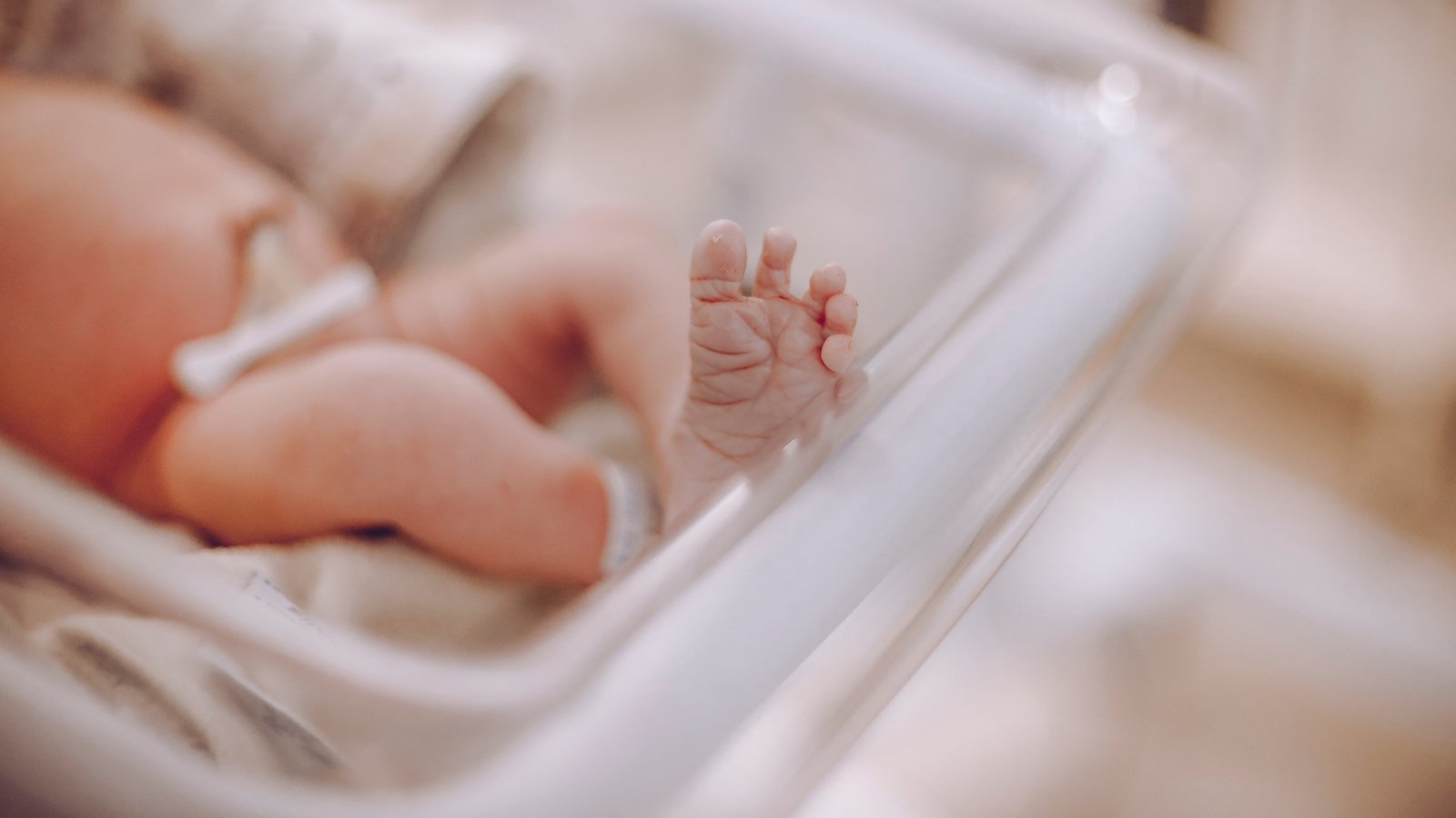 IMSS de Baja California intercambia a dos bebés recién nacidas