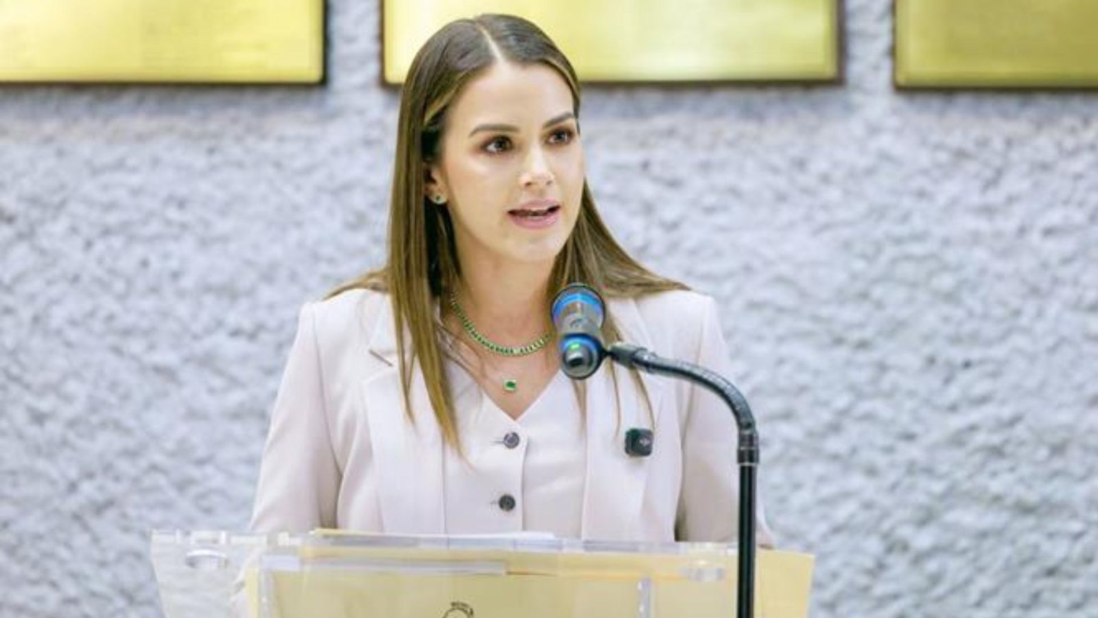 Lorena de la Garza ve 50% de posibilidades de aprobar el Presupuesto 2027
