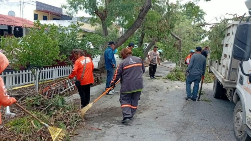Guadalupe retira más de 60 árboles caídos tras lluvias