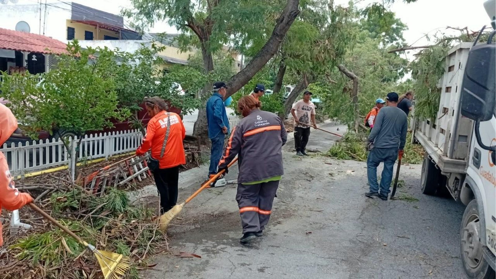 Guadalupe retira más de 60 árboles caídos tras lluvias