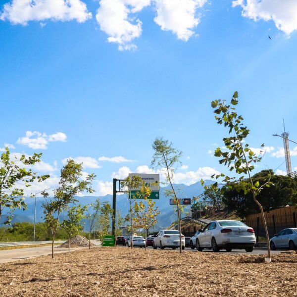 Supera Nuevo León el millón de árboles plantados con Bosques Ciudadanos