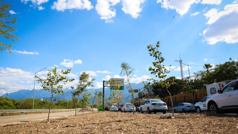 Supera Nuevo León el millón de árboles plantados con Bosques Ciudadanos