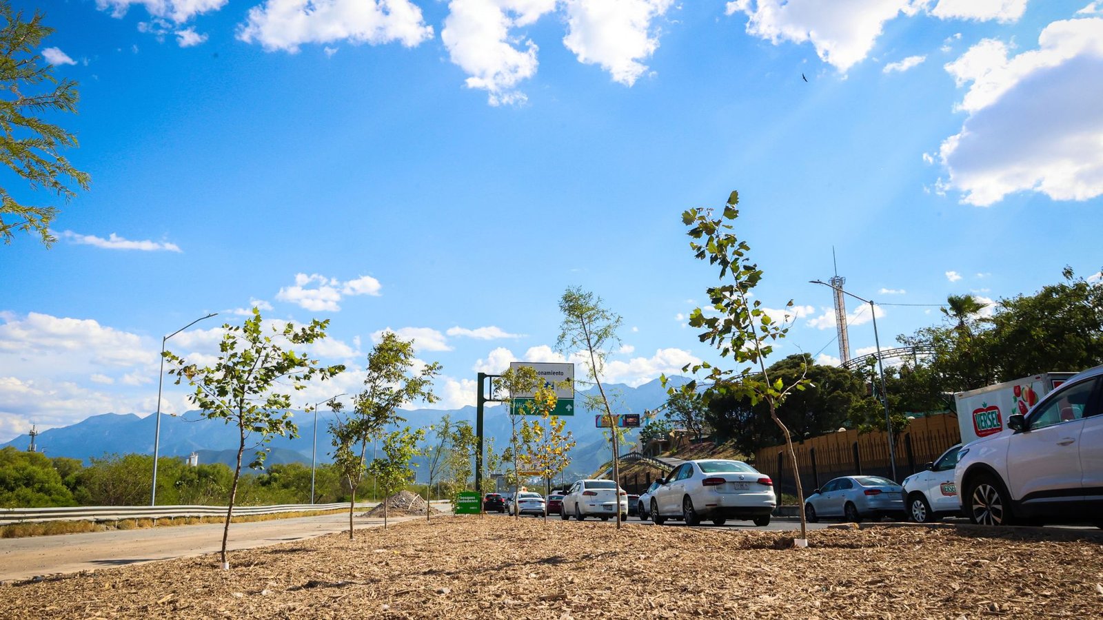Supera Nuevo León el millón de árboles plantados con Bosques Ciudadanos
