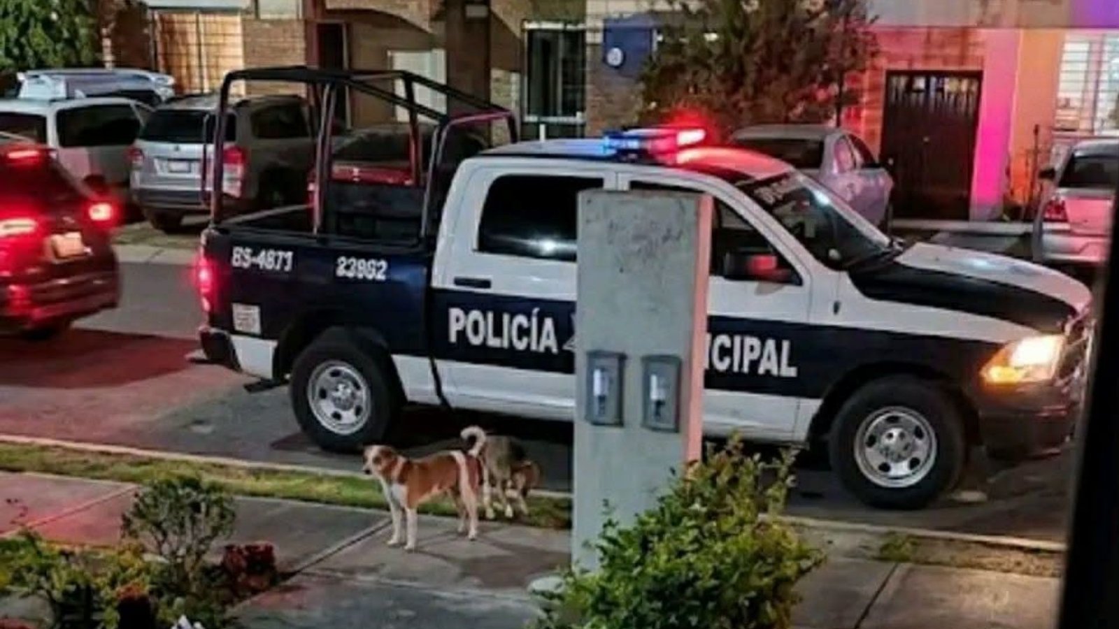 Asesinan a mujer en Pesquería frente a sus hijos; buscan al sospechoso
