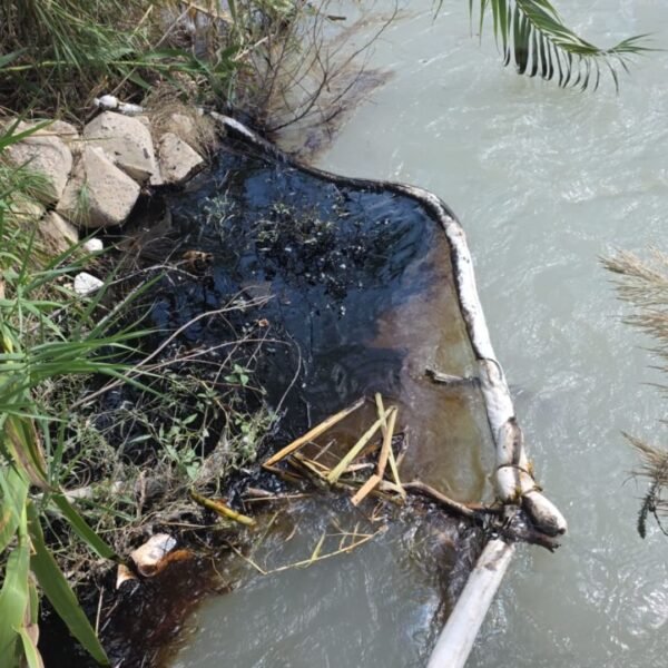 Inspecciona Medio Ambiente Río Pilón tras derrame de hidrocarburo