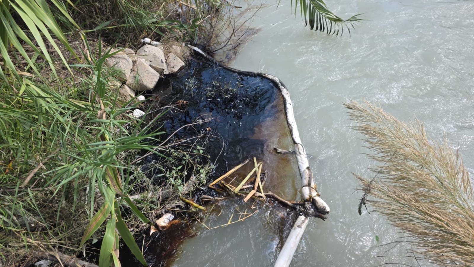 Inspecciona Medio Ambiente Río Pilón tras derrame de hidrocarburo
