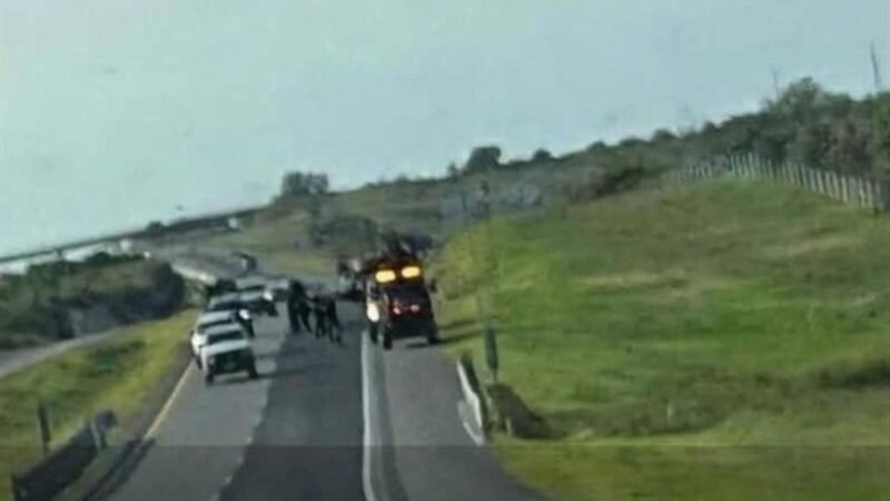 Localizan a mujer sin vida a un costado de autopista en General Bravo