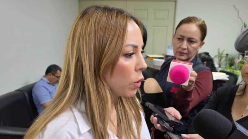 Plantea Perla Villarreal candados para nueva deuda estatal