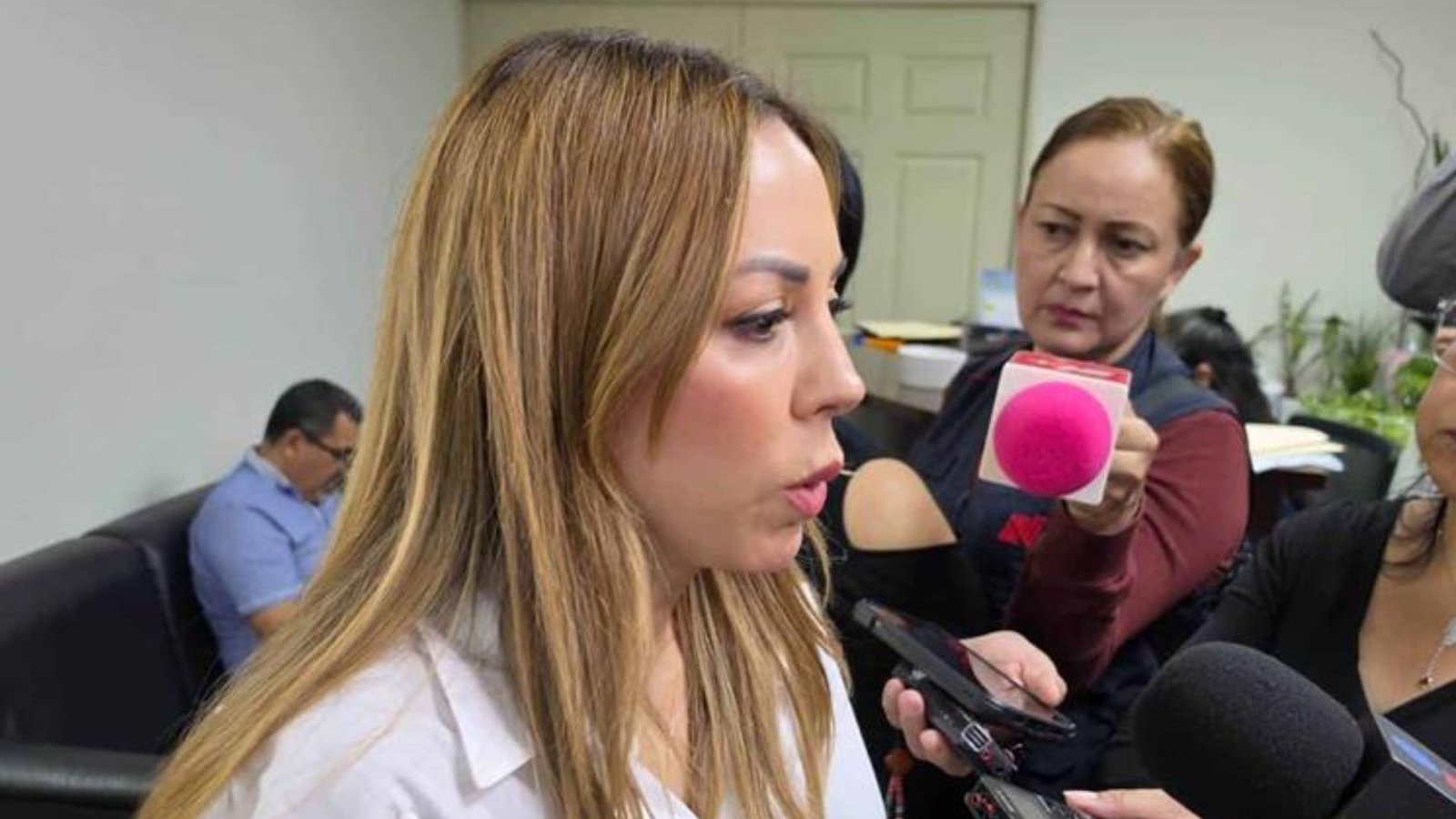Plantea Perla Villarreal candados para nueva deuda estatal