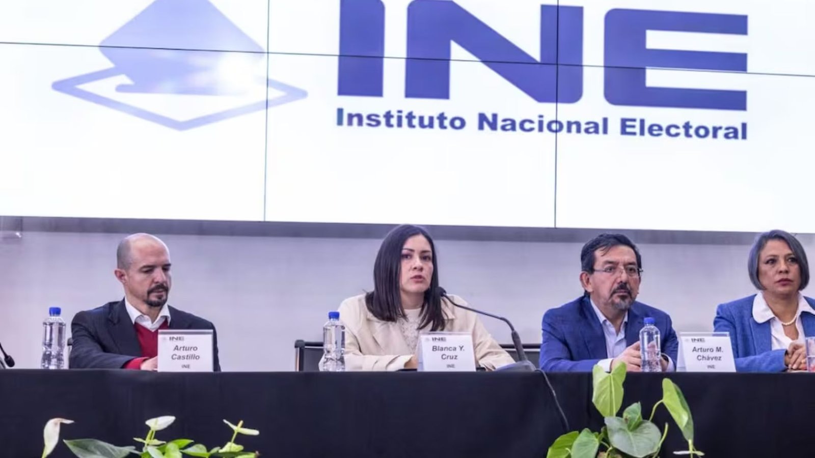 Designan a Blanca Cruz presidenta provisional del INE tras salida de Taddei