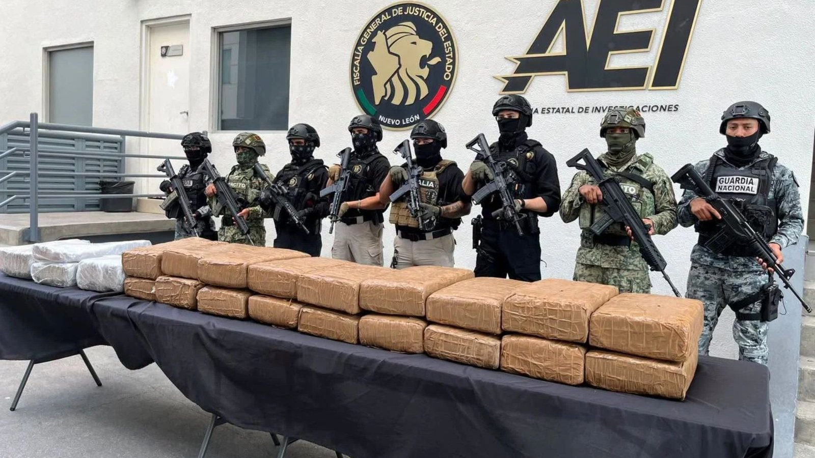 Aseguran más de 220 kilos de droga tras cateo en la colonia Independencia
